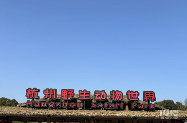 【已截止】安利冬日遛娃地 赠灵隐寺“喜见升卿”新年祈福年历