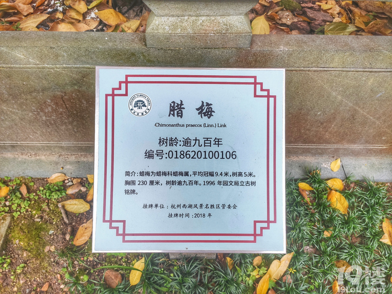 [ŏD]+
