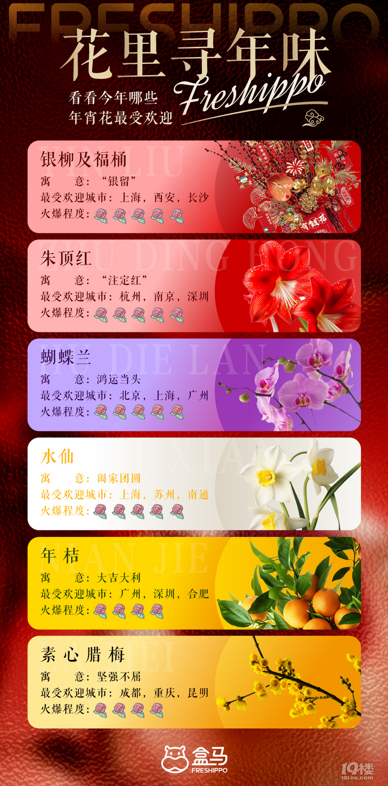 有花有果,盒馬“養(yǎng)成系”年宵花火成年輕人“新寵”