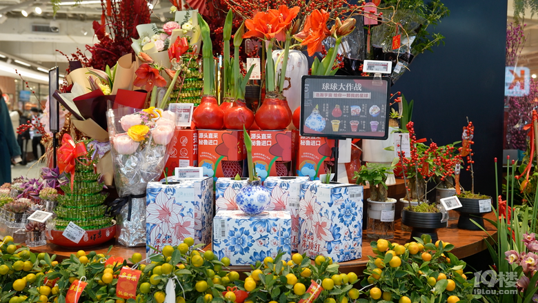有花有果,盒馬“養(yǎng)成系”年宵花火成年輕人“新寵”