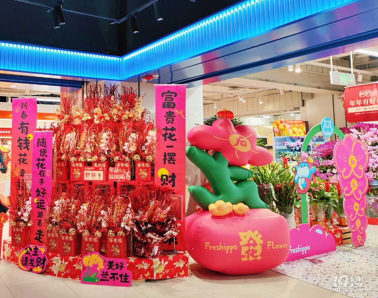 有花有果,盒馬“養(yǎng)成系”年宵花火成年輕人“新寵”