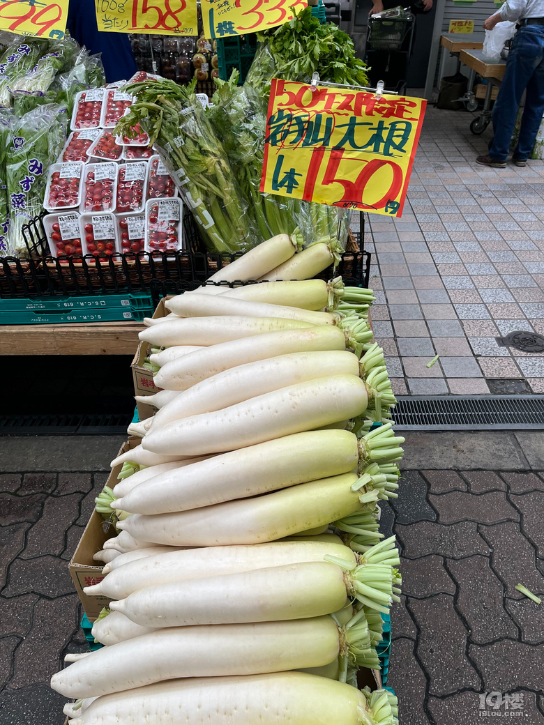 2024年10月游日本