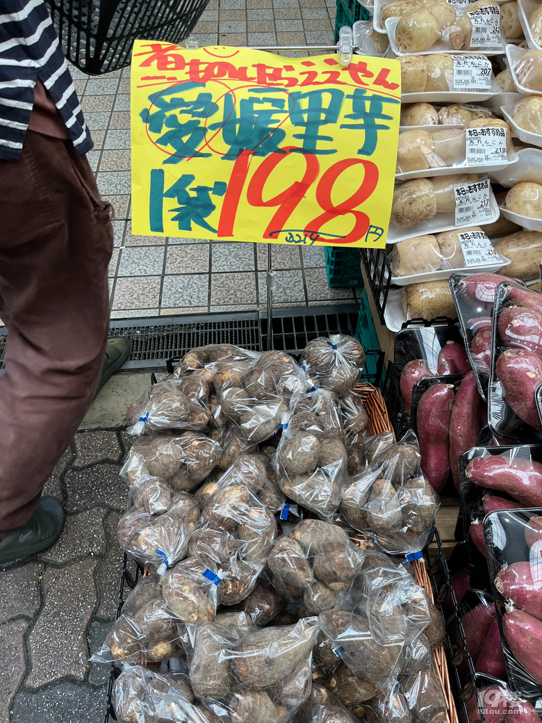 2024年10月游日本