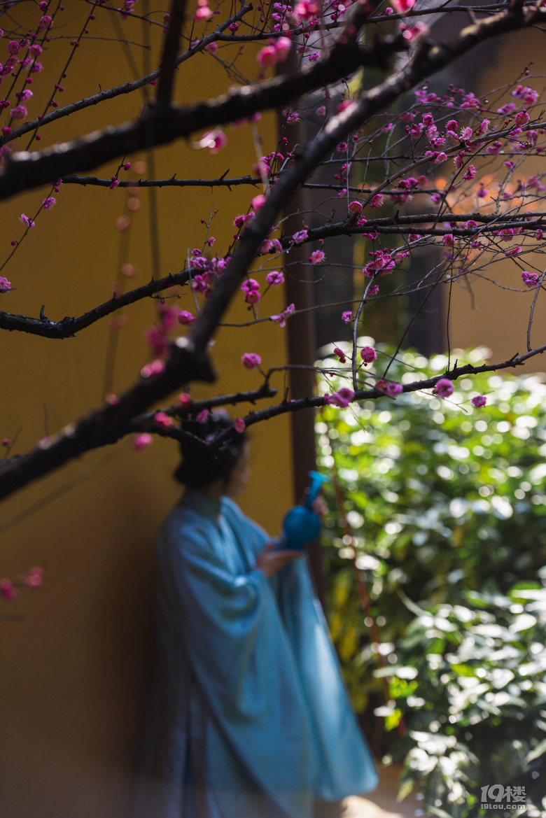 春行录：高丽慧寺和茶叶博物馆