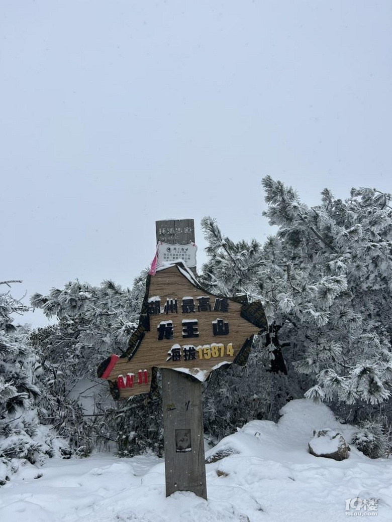 刷屏了~杭州也有不輸東北的雪景