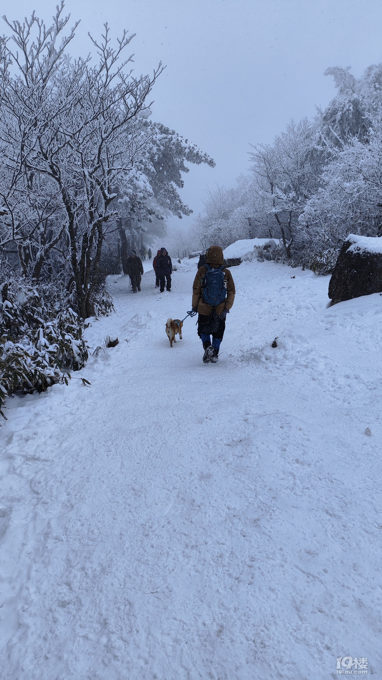 刷屏了~杭州也有不輸東北的雪景