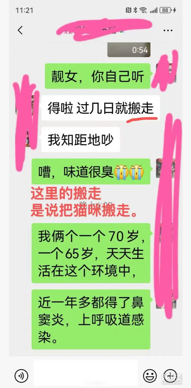 鄰居養(yǎng)了30+只貓，現(xiàn)在家門口異味熏天