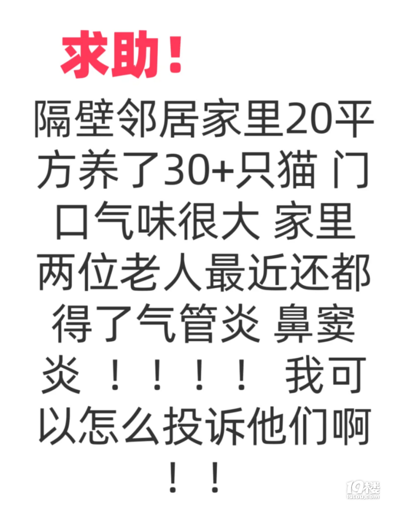 鄰居養(yǎng)了30+只貓，現(xiàn)在家門口異味熏天