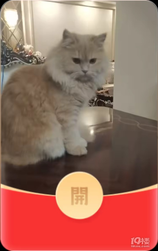 今天做了几个红包玩，哈哈！