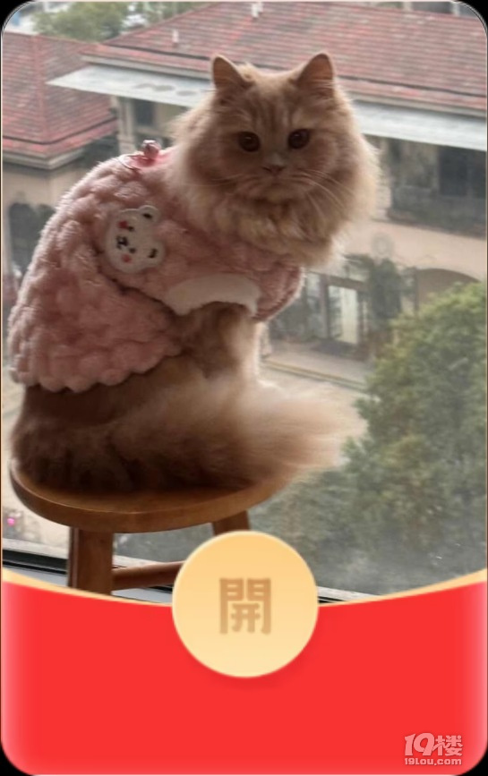 今天做了几个红包玩，哈哈！