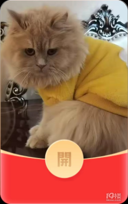 今天做了几个红包玩，哈哈！