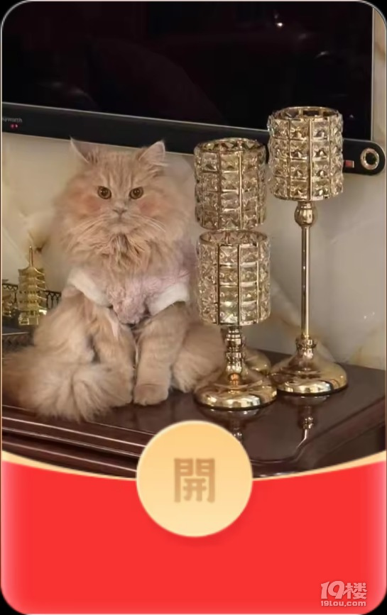 今天做了几个红包玩，哈哈！