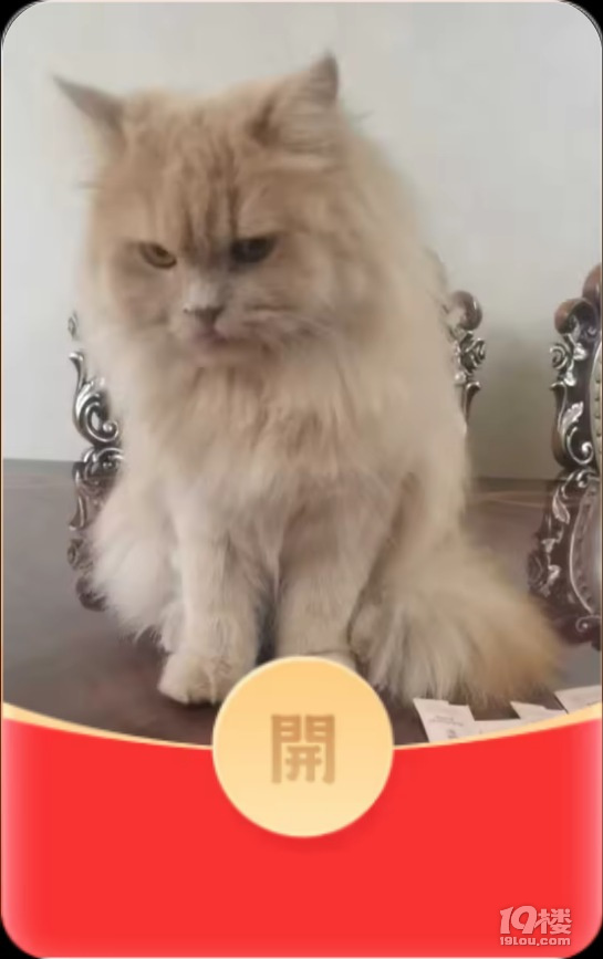 今天做了几个红包玩，哈哈！