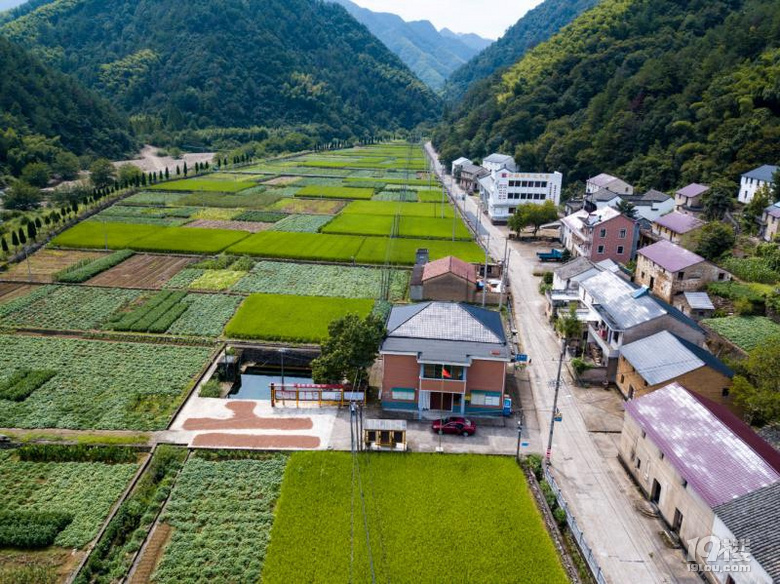 花园塘壹心红茶