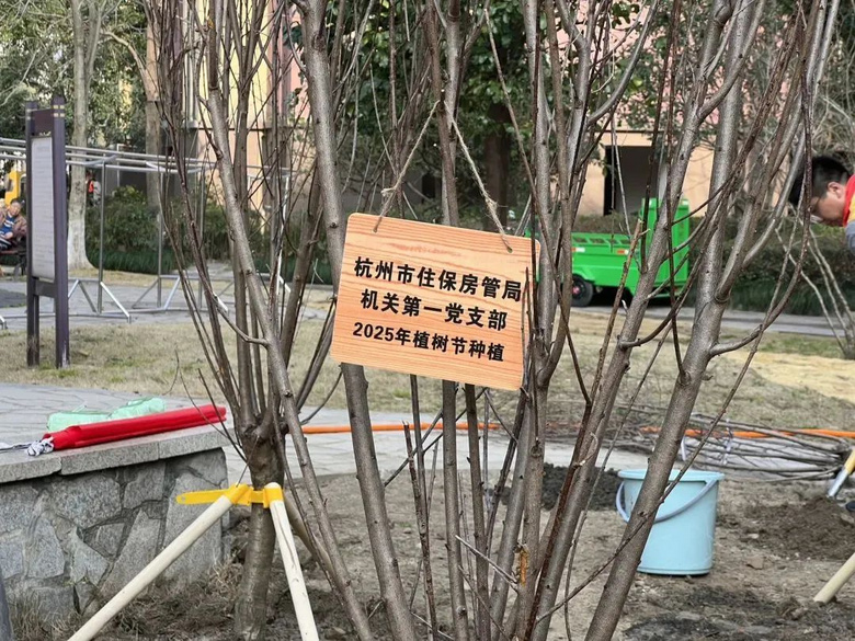 “植”此新綠,共建綠色家園