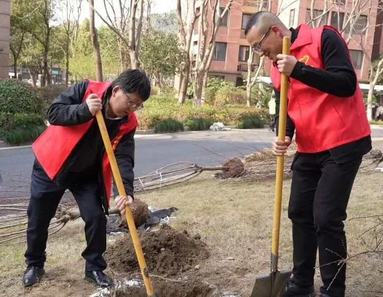 “植”此新綠,共建綠色家園