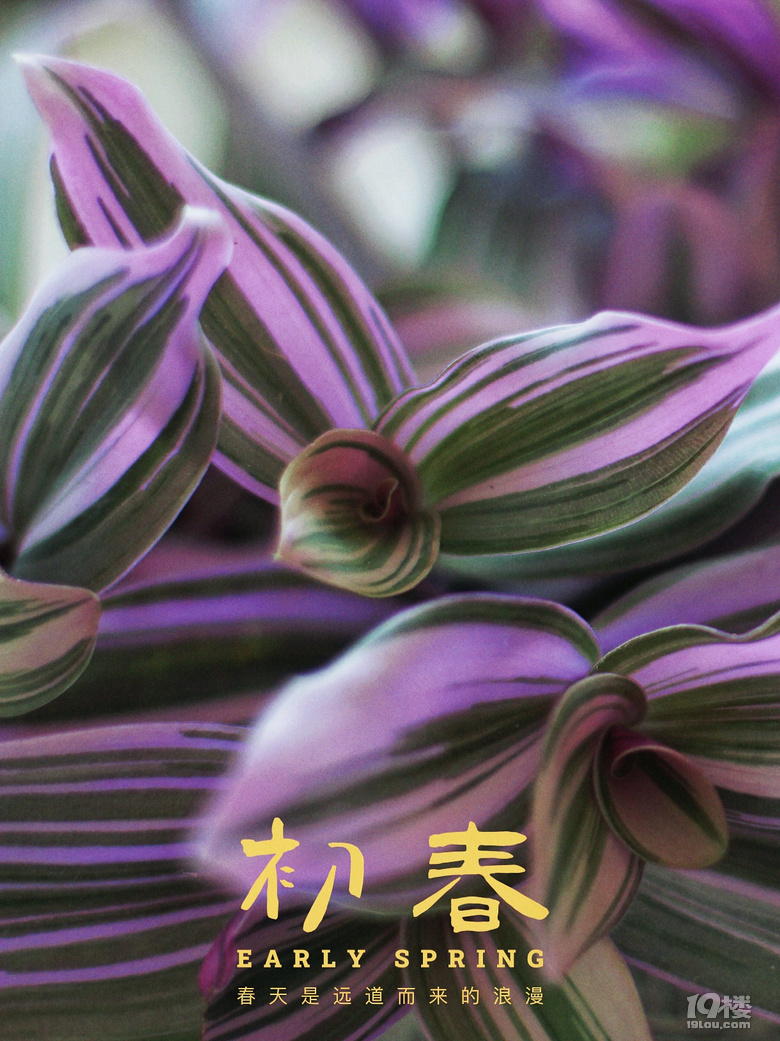 消费降级，那些在家喝下午茶的日子～