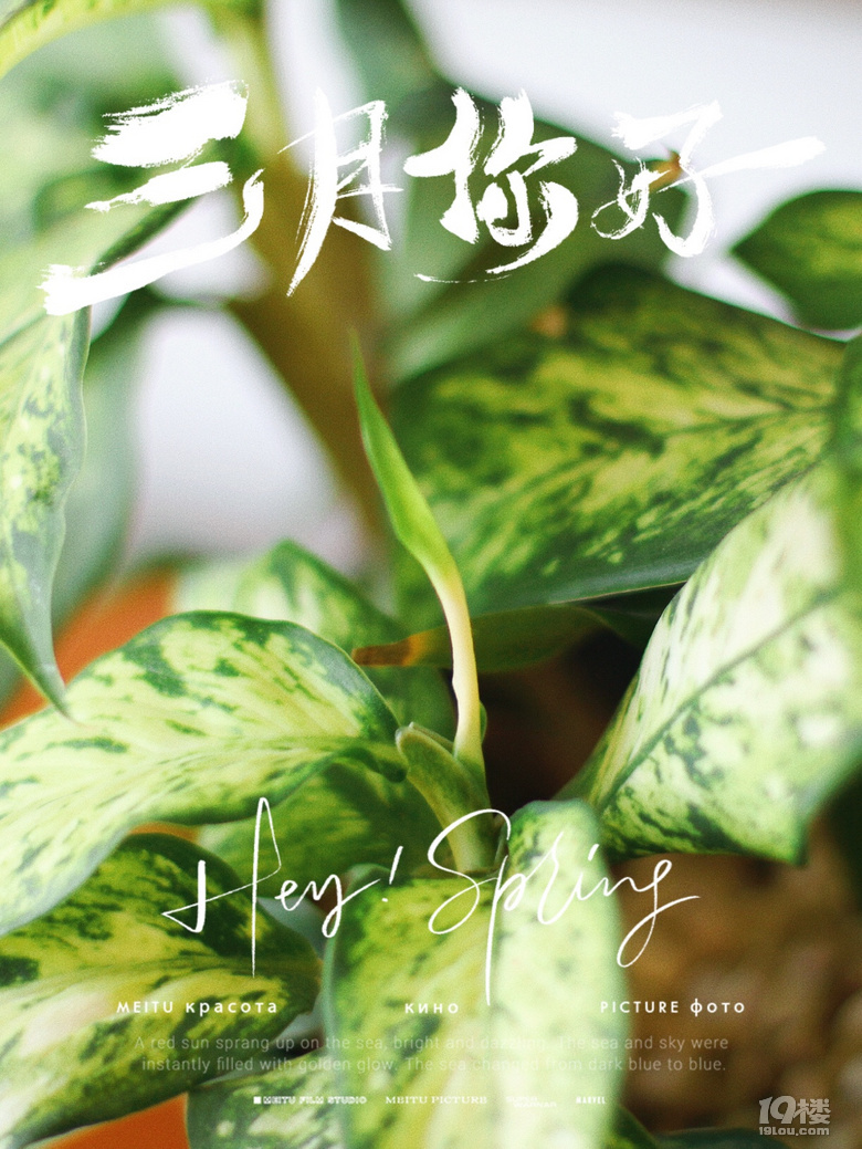 消费降级，那些在家喝下午茶的日子～