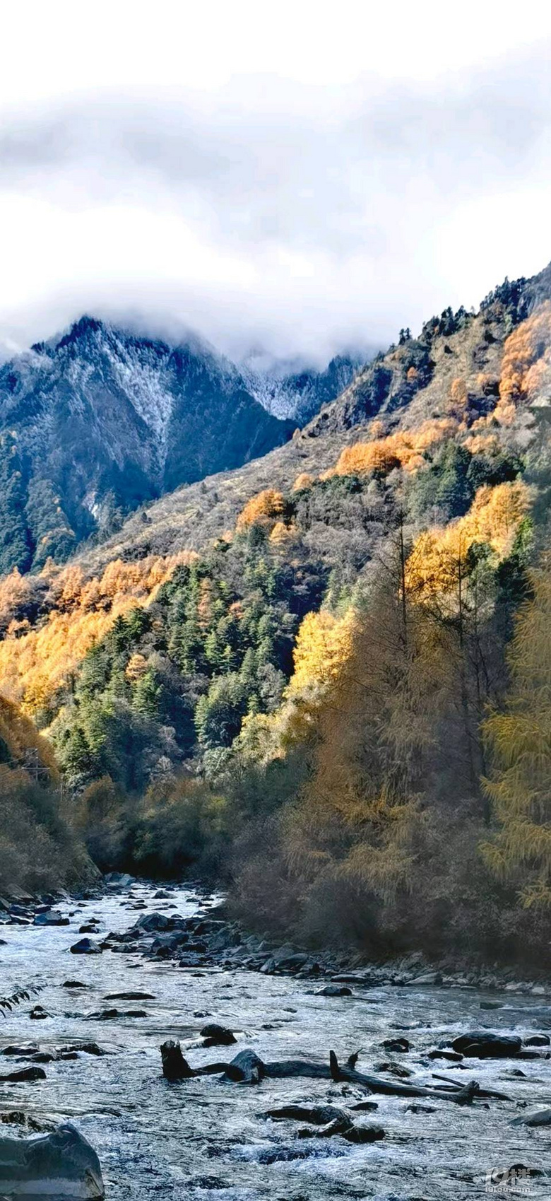 云霧巴郎·熊貓王國之巔