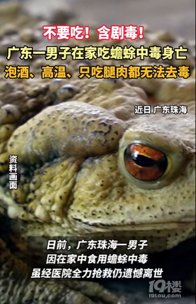 男子吃癞蛤蟆身亡！官方紧急预警：有剧毒，无解药！