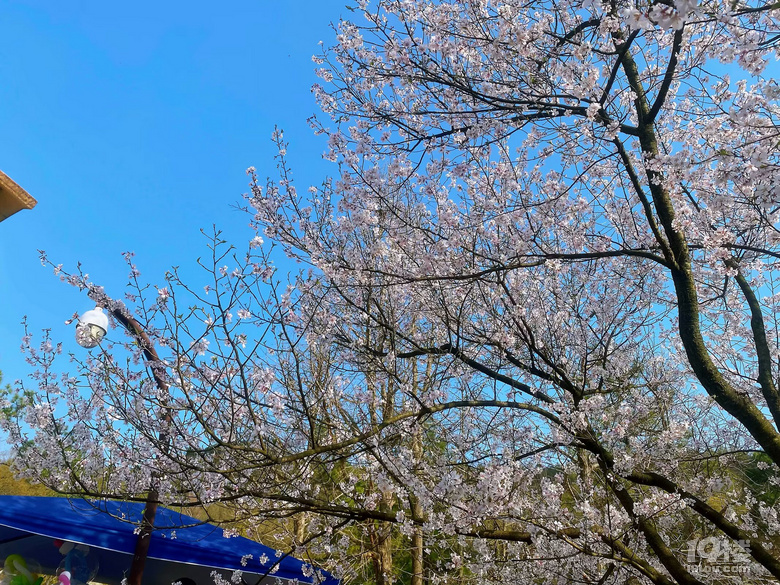 ̫Ӟ@