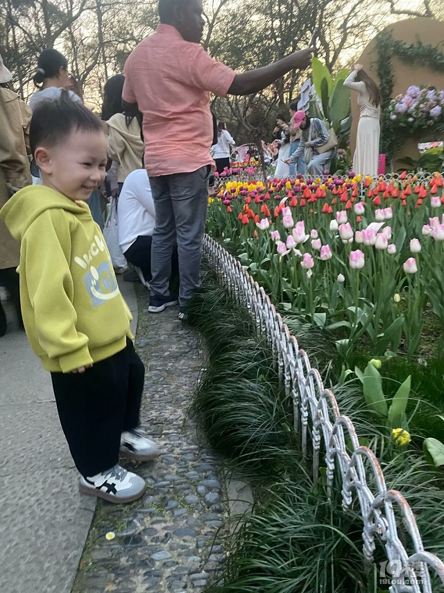 ̫Ӟ@