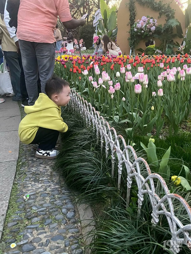 ̫Ӟ@