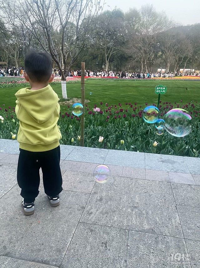 ̫Ӟ@