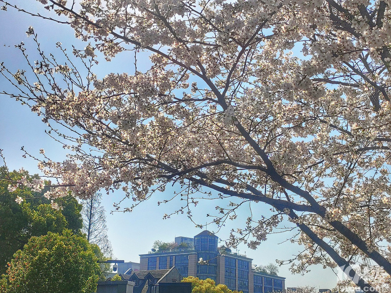 [ŏD]+