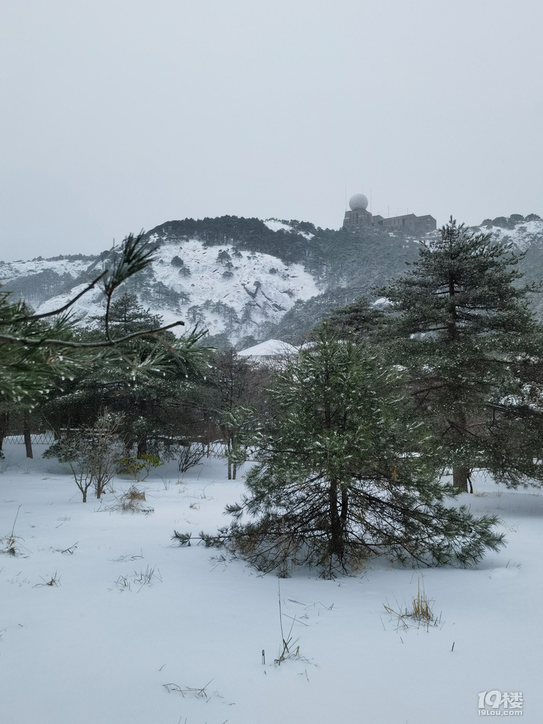 不一样的雪黄山依然值得攀登