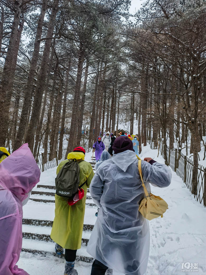 不一样的雪黄山依然值得攀登