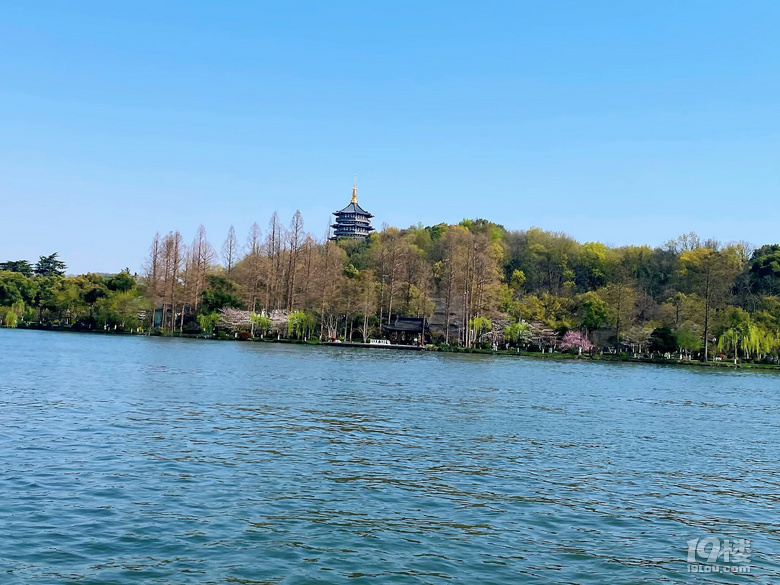 成長(zhǎng)日記（三十四）之2025.3（超山、太子灣公園）
