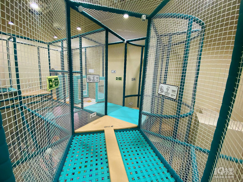 成長(zhǎng)日記（三十四）之2025.3（超山、太子灣公園）