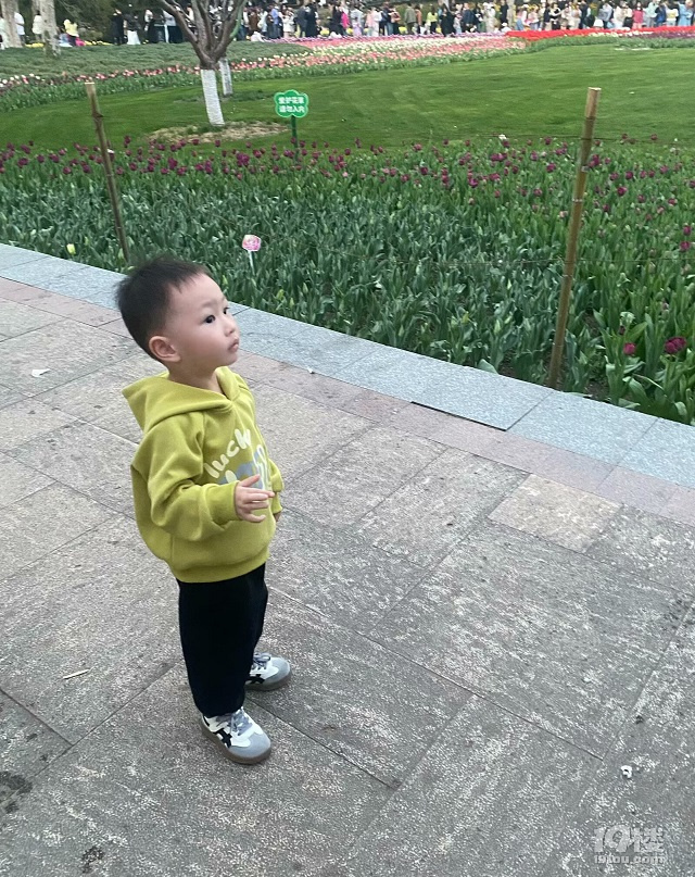 成長(zhǎng)日記（三十四）之2025.3（超山、太子灣公園）