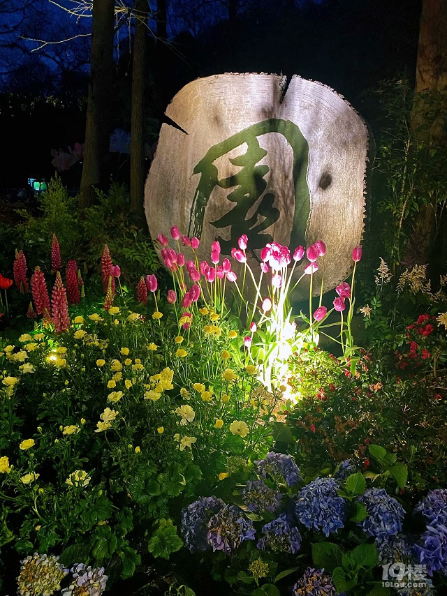 成長(zhǎng)日記（三十四）之2025.3（超山、太子灣公園）