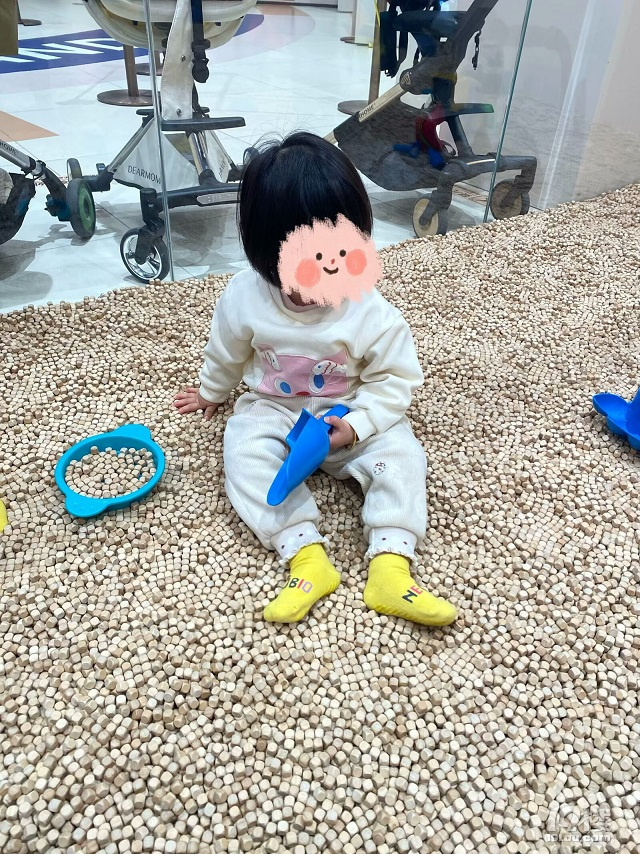 成長(zhǎng)日記（三十四）之2025.3（超山、太子灣公園）