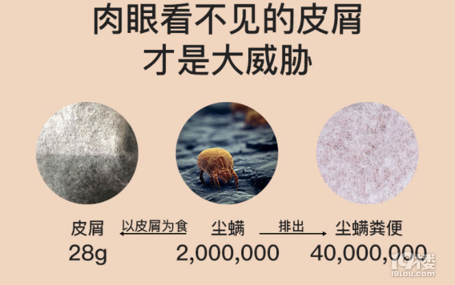 家中有必要买除螨仪吗？10款公认好用的除螨仪排行榜！必看！