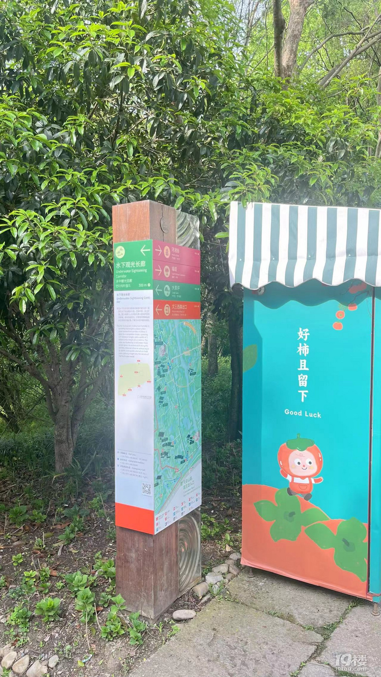【19樓幫幫團(tuán)】西溪濕地水下長(zhǎng)廊水域福壽螺大量繁殖