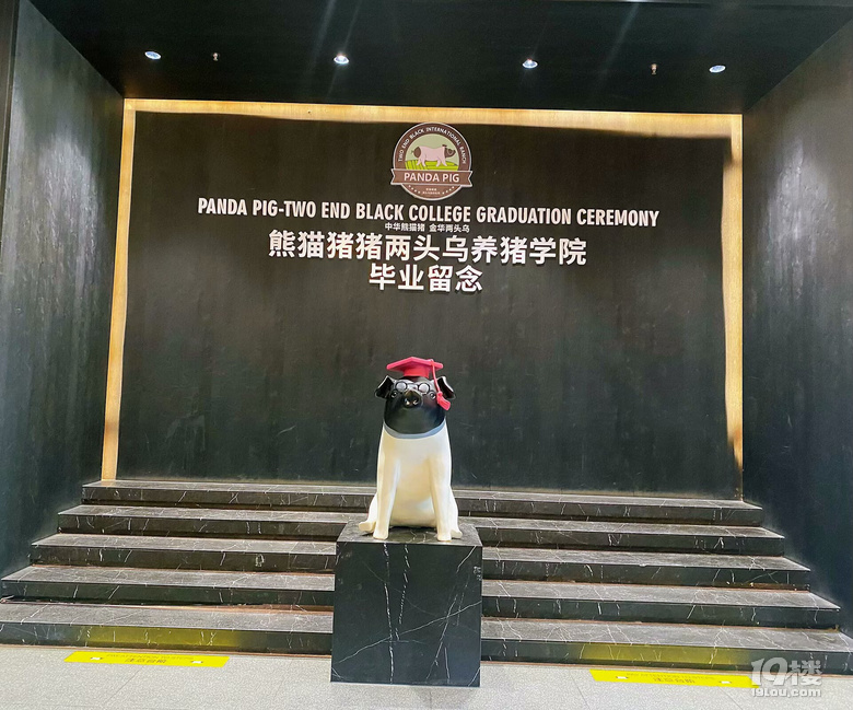 熊猫猪猪两头乌国际牧场