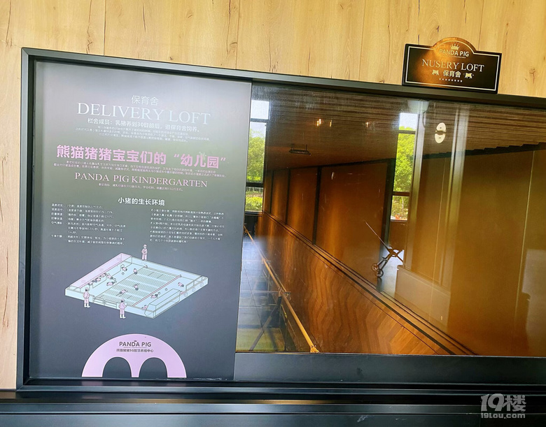 熊猫猪猪两头乌国际牧场