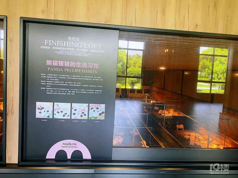 熊猫猪猪两头乌国际牧场