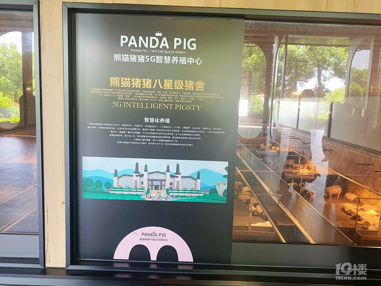 熊猫猪猪两头乌国际牧场