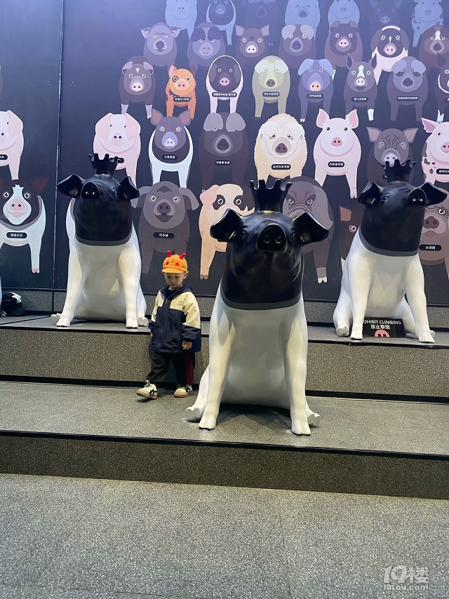 熊猫猪猪两头乌国际牧场