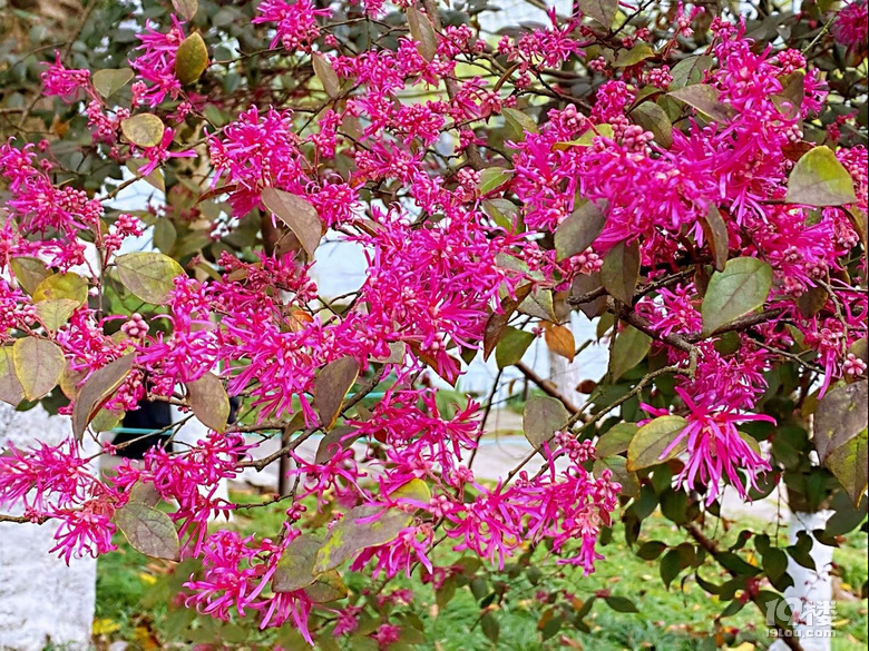 山水风光（四十一）之湘湖