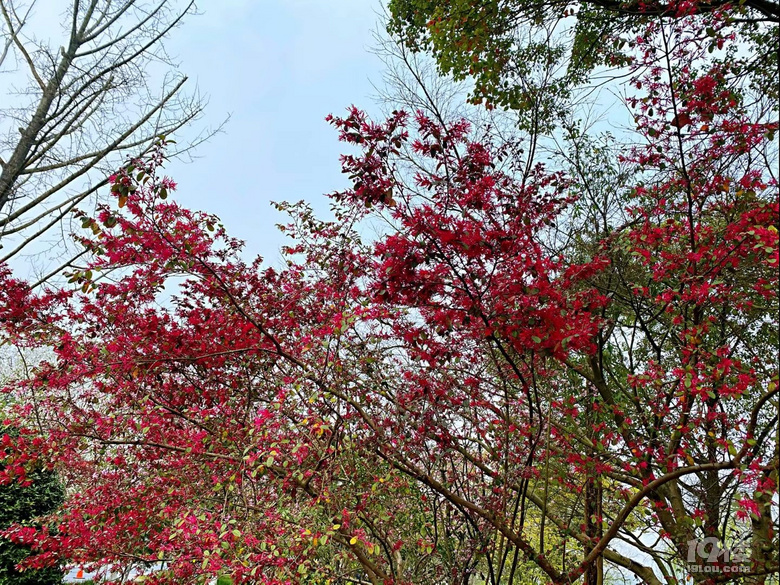 山水风光（四十一）之湘湖