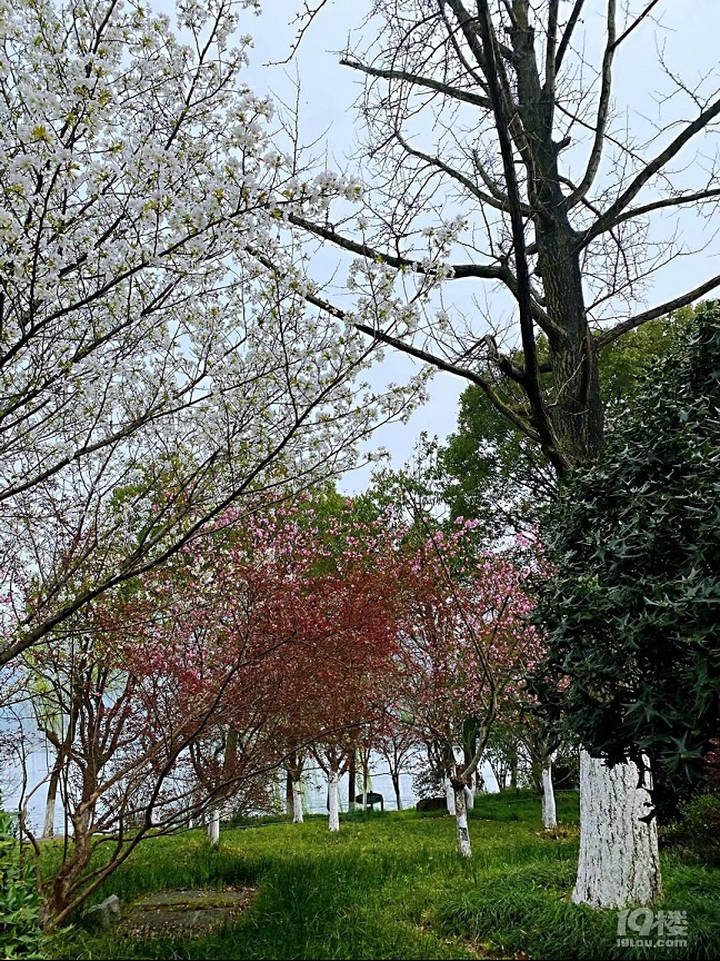山水风光（四十一）之湘湖