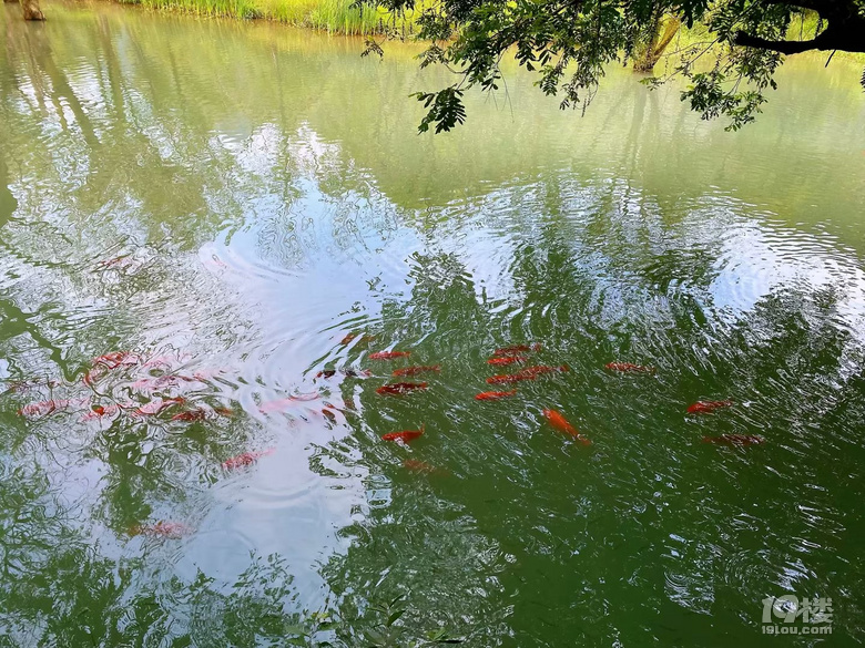 山水风光（四十一）之湘湖
