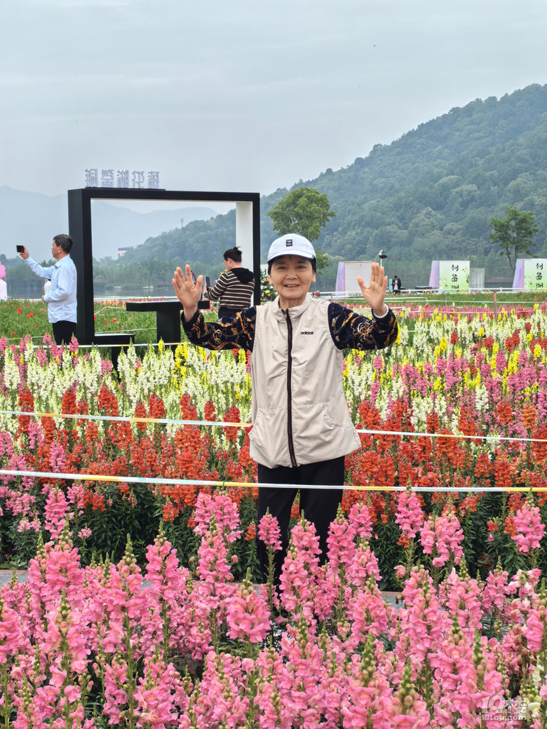 打卡铜鉴湖花海