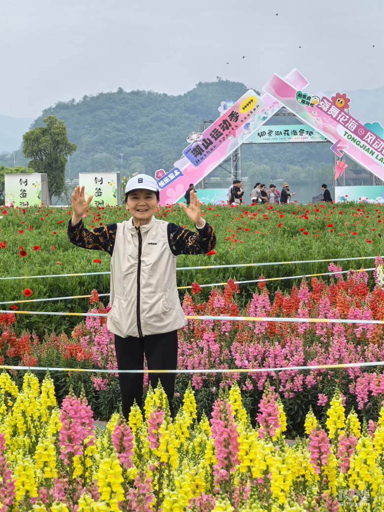 打卡铜鉴湖花海