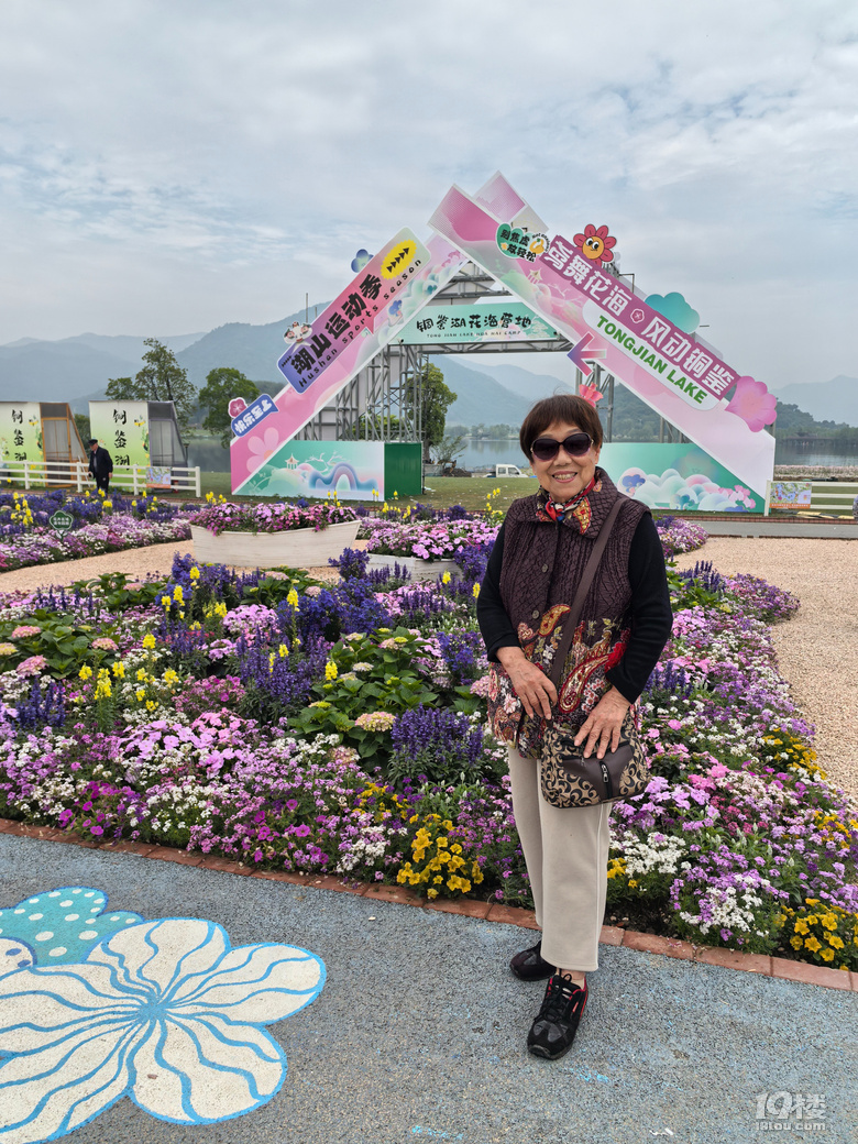 打卡铜鉴湖花海